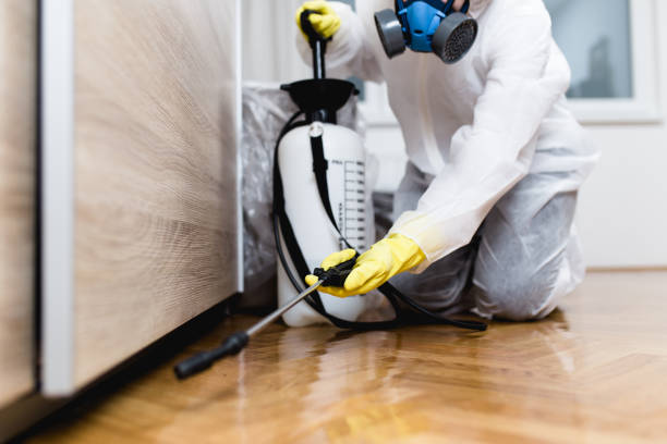 Best Mosquito Control Services  in South Creek, WA