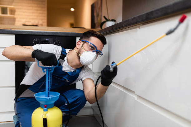 Best Pest Control Near Me  in South Creek, WA