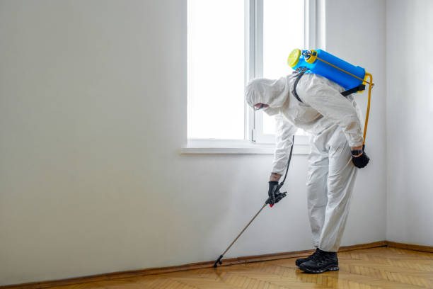Best Wildlife Control Services  in South Creek, WA