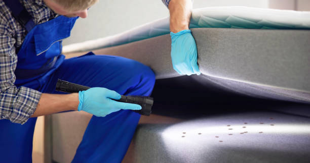 Best Residential Pest Control  in South Creek, WA