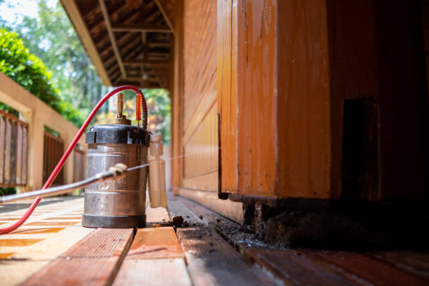 Best Pest Control for Homes  in South Creek, WA