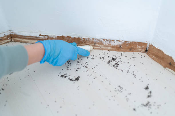 Best Wildlife Control Services  in South Creek, WA